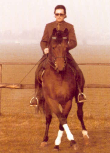 Kastilio by Ibikus, Winner of the performance test for stallions