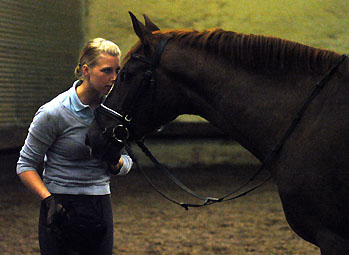 Kavalou v. Shavalou u.d. Elitestute Kalmar v. Exclusiv - Trakehner Gestt Hmelschenburg - Foto: Beate Langels