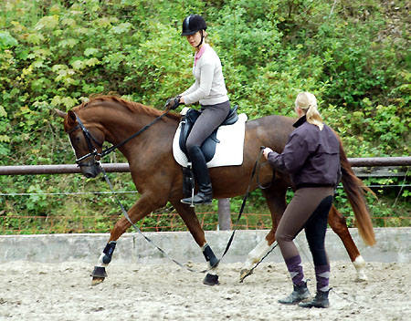 Kavalou v. Shavalou u.d. Elitestute Kalmar v. Exclusiv - Trakehner Gestt Hmelschenburg - Foto: Beate Langels