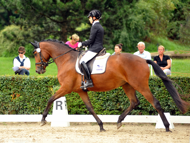 Sieger der Stutenleistungsprfung: Katniss Everdeen v. Saint Cyr - Gestt Schplitz - copyright Bernhard Langels, Trakehner Gestt Hmelschenburg