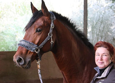 Zweijhriger Hengst Khedira von Summertime u.d. ESt. Kalmar v. Exclusiv - Trakehner Gestt Hmelschenburg - Foto: Beate Langels