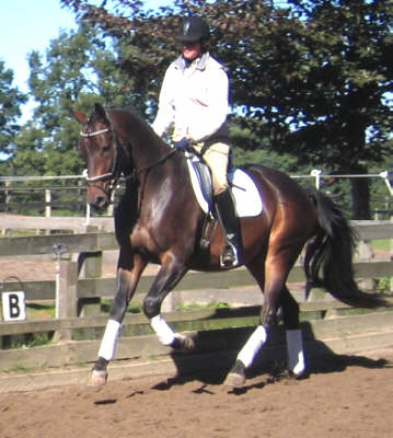 Dr. Kimble v. Kostolany u.d. Donauliebe v. Consul (im September 2005), Foto: Inka Lhrs