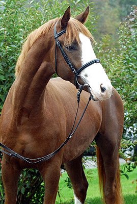 Kim Kinvahan v. Tabaluga u.d. Killarney v. Tuareg