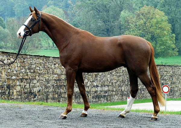 Kim Kinvahan v. Tabaluga u.d. Killarney v. Tuareg, Foto: Beate Langels