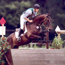 Kinski v. Kostolany, Bundeschampionat WAF