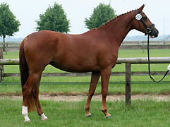 Prmienanwrterin KLEO II v. Freudenfest