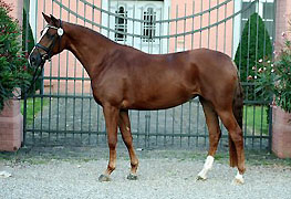 Staatsprmien- u. Prmienstute Kleo v. Freudenfest - Exclusiv