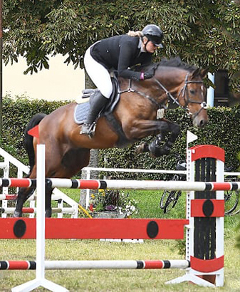 Klose von Shavalou u.d. Kida v. Schampus u.d. Pr.St. Kassis von Kostolany, Zchter: Bernhard Langels