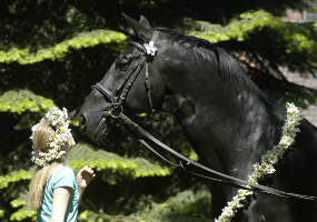 Kostolany and Patrizia