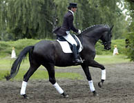 Kotillio von Summertime - Trocadero und Kerstin Lehmann