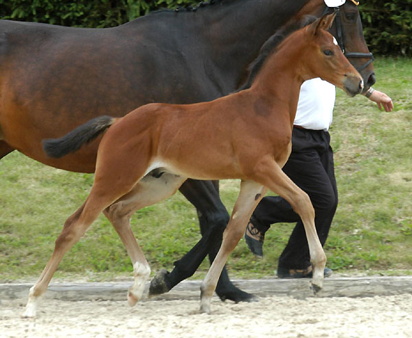 Foto: Peter Richterich