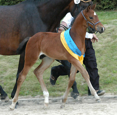 Foto: Peter Richterich