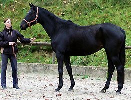 Kaiserzeit von Summertime