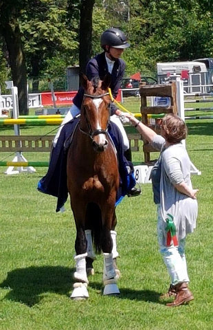 Kacyro - im Juni 2019 - Foto: Camp - Beate Langels Gestt Hmelschenburg