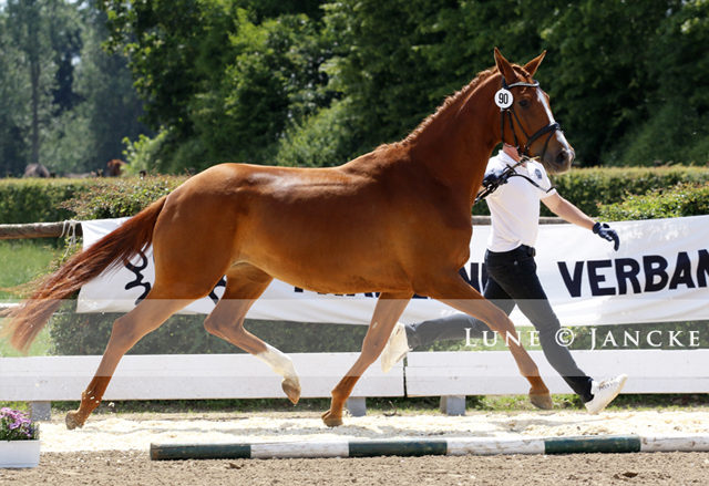 Prmienanwrterin Garbenglck von High Motion x Lowelas - Foto: Lune Jancke