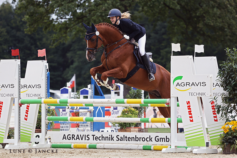 Trakehner Hengst Glcksruf v. Dramatiker - Foto Lune Jancke - Gestt Hmelschenburg