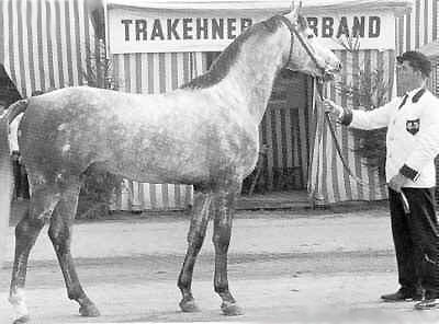 Maharadscha v. Famulus, Foto: Archiv