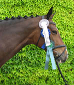 Marjell von Freudenfest u.d. Pr.St. Malve v. Kostolany