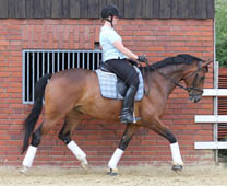 Pia und Marjell von Freudenfest u.d. Pr.St. Malve v. Kostolany