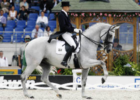 WM Silber und Bronze: Matin v. Silvermoon (Kostolany), Fotos Blue Hors