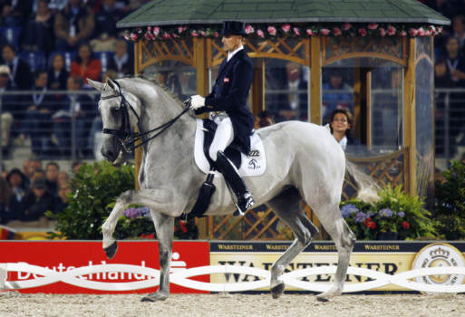 Matin - WM Silber und Bronze in Aachen - Trakehner Gestt Hmelschenburg