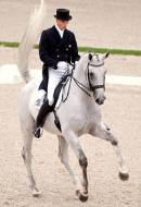 Matin - WM Silber und Bronze in Aachen - Trakehner Gestt Hmelschenburg