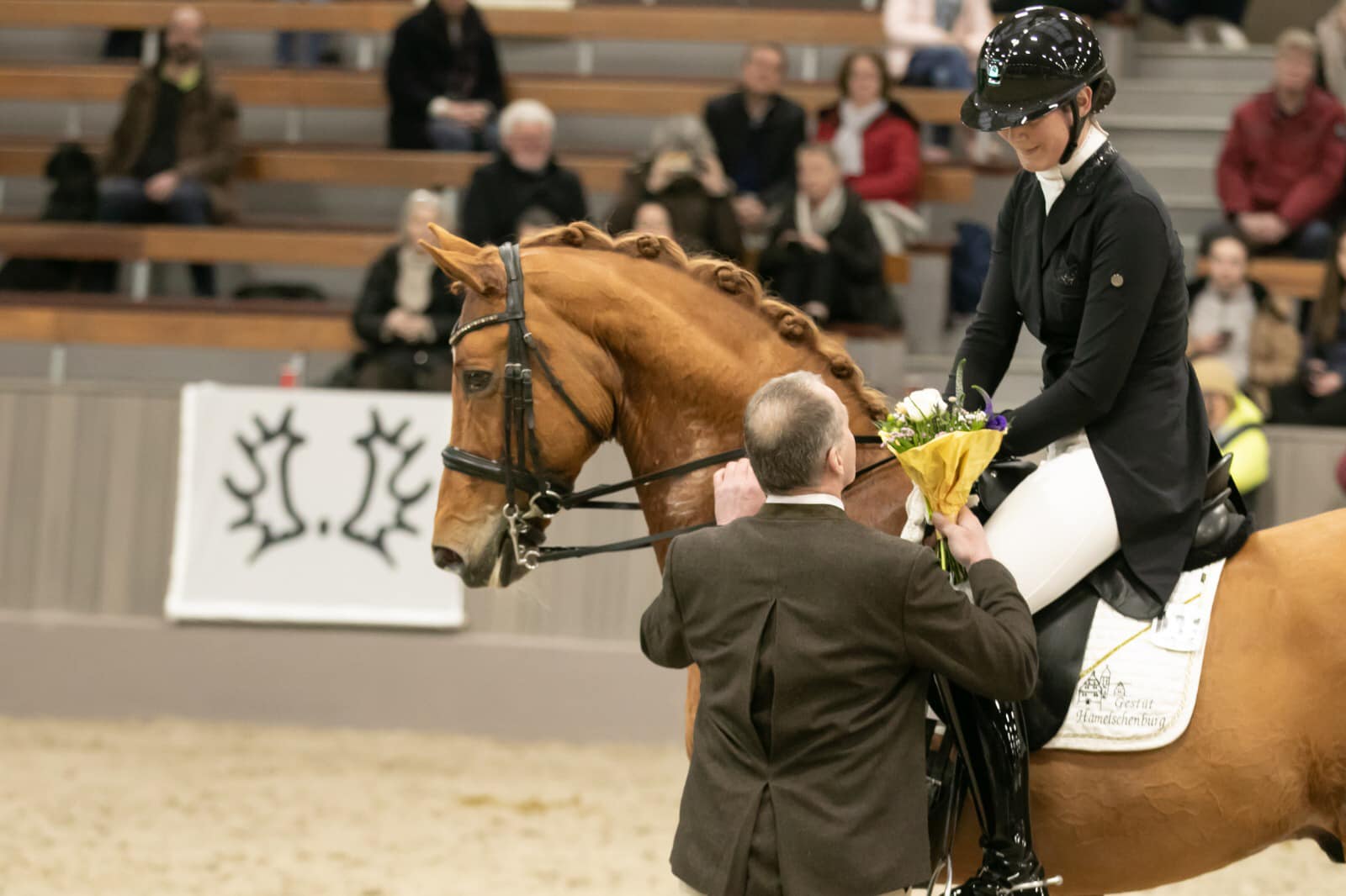 Zauberdeyk von Van Deyk und Lune Karolin Mller - Foto: Meike Dsterwald - Trakehner Gestt Hmelschenburg