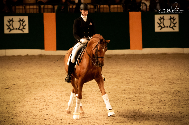 Zauberdeyk von Van Deyk - Galaabend 2021  - Foto: Meike Dsterwald - Trakehner Gestt Hmelschenburg