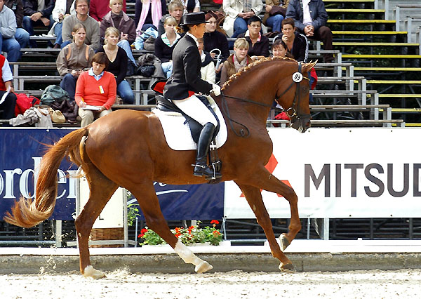 Meraldik, Foto: Beate Langels, Gestt Hmelschenburg