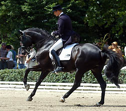 Monteverdi von Partout u.d. Miami v. Matador - Foto: Beate Langels