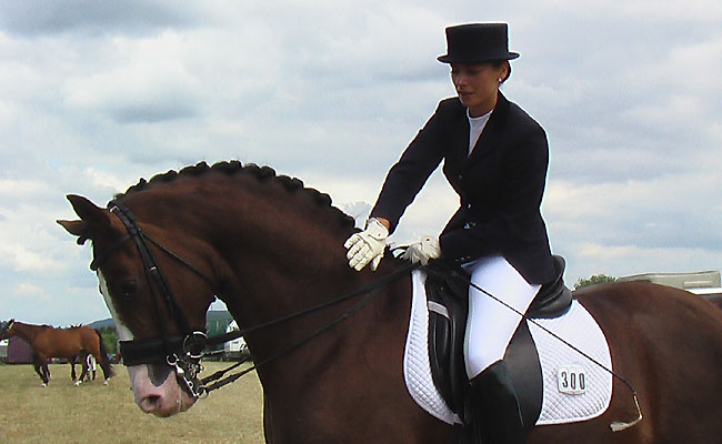 Trakehner Hengst Ostpreue v. Freudenfest und Rike Heinelt