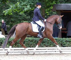 Trakehner Hengst Ostpreue v. Freudenfest mit seiner Besitzerin Meike Heinelt