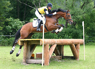 Trakehner Wallach Pompon von Freudenfest und Luise Wessely - Spa im Winter