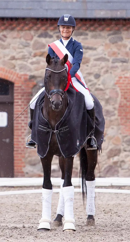 Trakehner Hengst Preuen Party v. Ivanhoe x 
Connery - Gestt Hmelschenburg