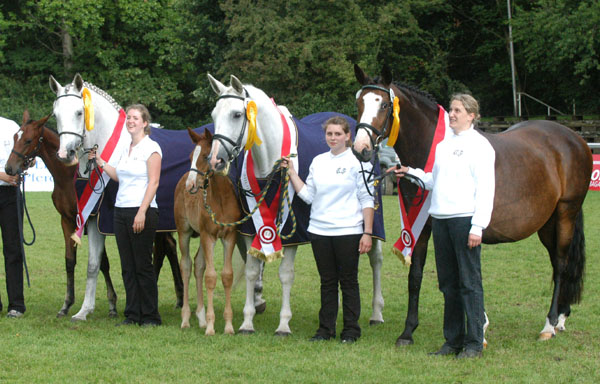 Mitglied der Siegerfamilie: Pr. u. StPrSt. Thalia v. Exclusiv u.d. Elitestute Thirza v. Karon - Foto: Peter Richterich