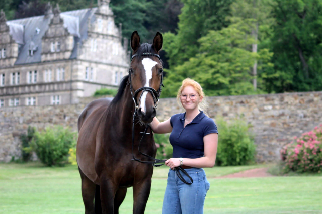 Dreijhiger Trakehner Wallach von High Motion u.d. Pr.u.StPrSt. Tavolara v. Exclusiv - Foto Pauline Rolfing - Gestt Hmelschenburg