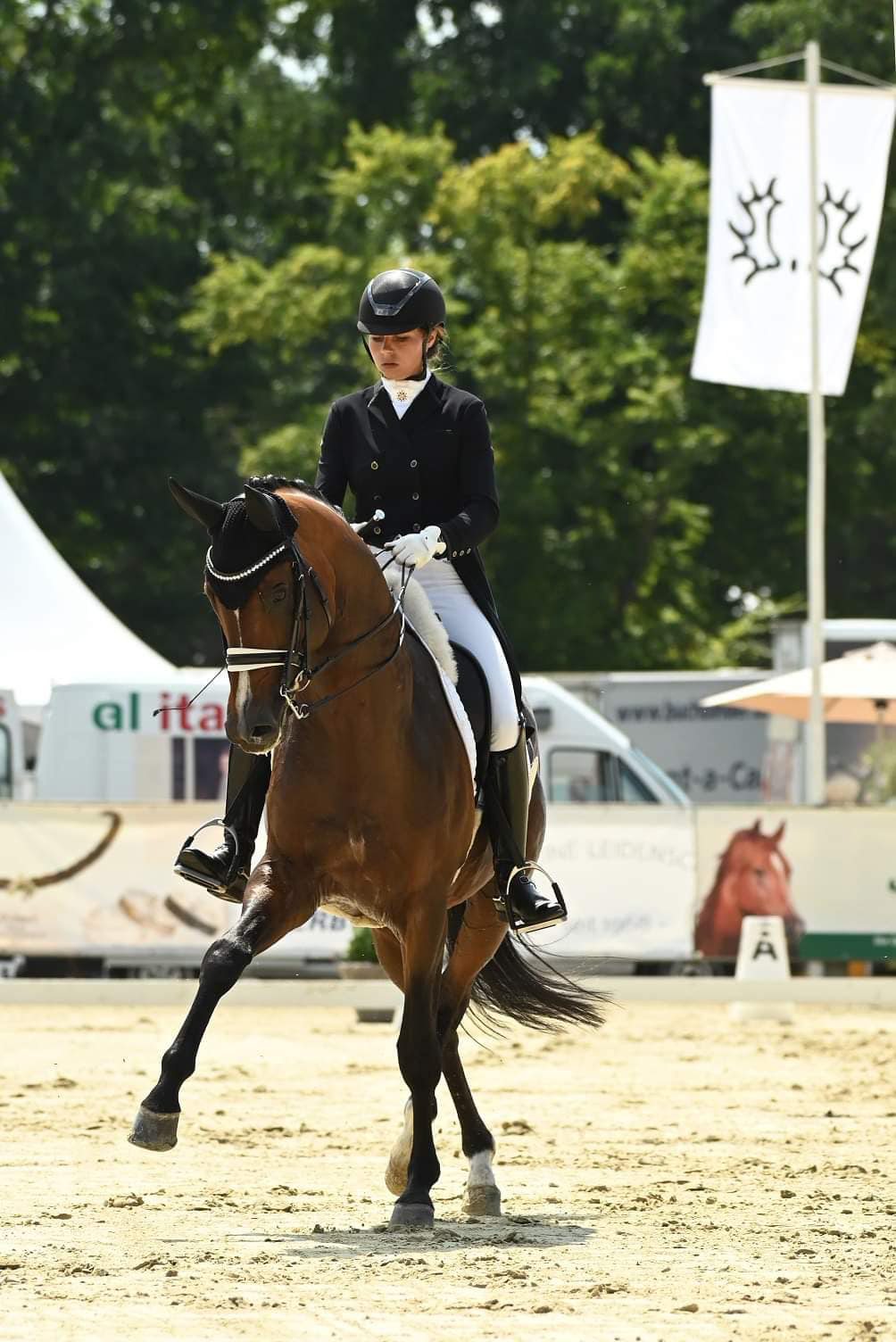High Motion  - Sieger Inter I internationales Trakehner Bundesturnier 2022 - Foto: Peter Richterich - 
Trakehner Gestt Hmelschenburg