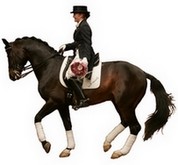 Kostolany-Enkel Preuenwind v. Gribaldi-Schwadroneur, Foto: Hengsthalter Kaj Olesen