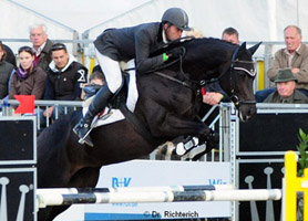 Bundeschampion 2010: Trakehner Siegerhengst Songline v. Summertime u.d. Pr.St. Schwalbenspiel v. Exclusiv, Züchter: Gestüt Hämelschenburg Foto: Dr. Peter Richterich