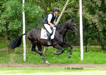 Bundeschampion 2010: Songline v. Summertime - Exclusiv, Gestt Hmelschenburg - Foto: Dr. Peter Richterich