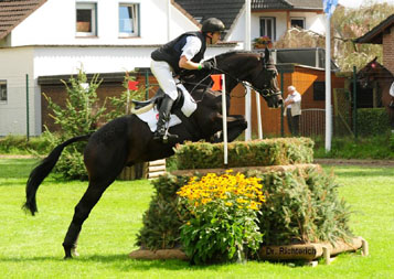 Bundeschampion 2010: Songline v. Summertime - Exclusiv, Gestt Hmelschenburg - Foto: Dr. Peter Richterich