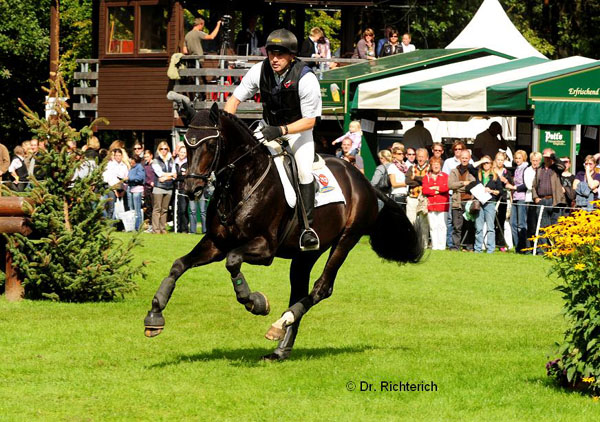 Bundeschampion 2010: Songline v. Summertime - Exclusiv, Gestt Hmelschenburg - Foto: Dr. Peter Richterich