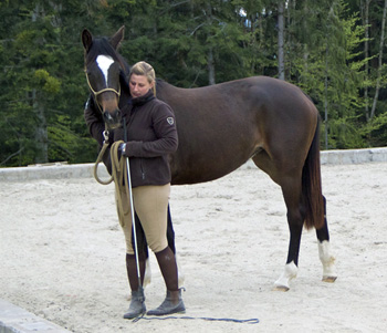 Gloria Gaynor von Saint Cyr u.d. Greta Garbo v. Alter Fritz, Trakehner Gestt Hmelschenburg