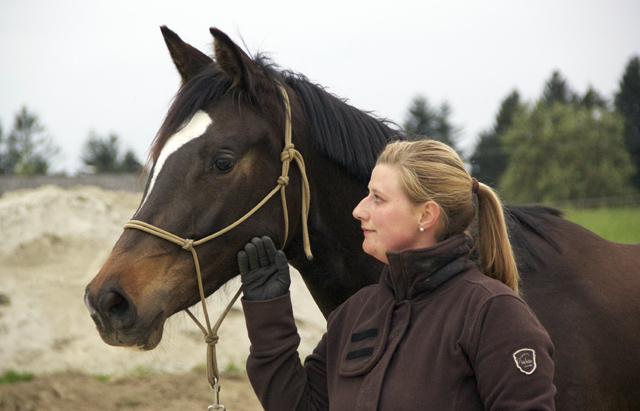 Gloria Gaynor von Saint Cyr u.d. Greta Garbo v. Alter Fritz, Trakehner Gestt Hmelschenburg