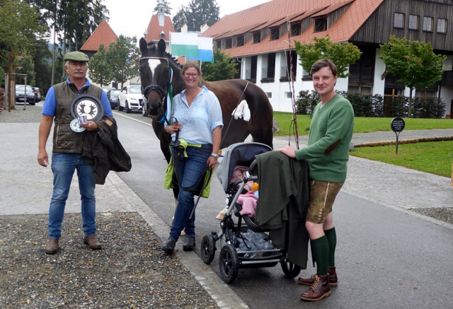 Trakehner Stute Gloria Gaynor von Saint Cyr u.d. Elitestute Greta Garbo v. Alter Fritz - Gestt Hmelschenburg - Beate Langels - Foto: Sonnleitner