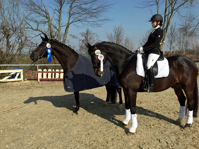 Valpiano und Anastasia Rutsch 2018 - Foto: Rutsch, Trakehner Gestt Hmelschenburg