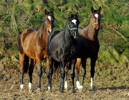Val de Vienne von Exclusiv - Showmaster (rechts), Foto: Beate Langels