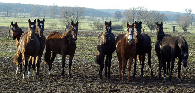 Val de Vienne von Exclusiv - Showmaster (2. von links), Foto: Beate Langels