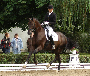 Seal - Trakehner von Gribaldi u.d. Pr.St. Schwalbenspiel v. Exclusiv, Gestt Hmelschenburg, Foto: Richard Langels