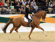 Rothmann von Shavalou